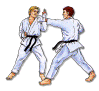 Karateka Punching